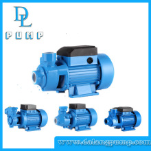 Domestic Use for Clean Water Electric Peripheral Very Small Water Pump